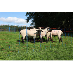 TitanNet Premium AKO Blau / Orange TitanNet Premium AKO Blau / Orange