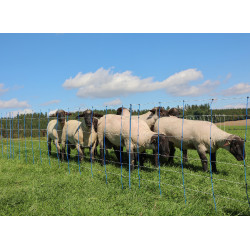 TitanNet Premium Plus AKO Blau / Weiß