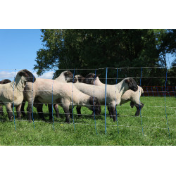 TitanNet Premium Plus AKO Blau / Weiß