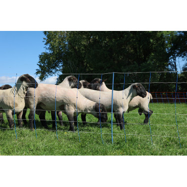 TitanNet Premium Plus AKO Blau / Weiß