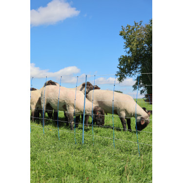 TitanNet Premium Plus AKO Blau / Weiß