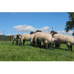 TitanNet Premium Plus AKO Blau / Weiß