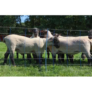 TitanNet Premium Plus AKO Blau / Weiß