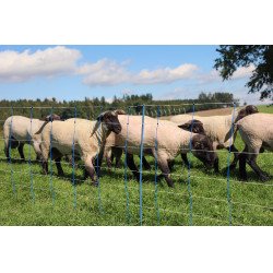 TitanNet Premium Plus AKO Blau / Weiß