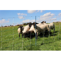 TitanNet Premium Vario AKO Weiß / Blau Weiß