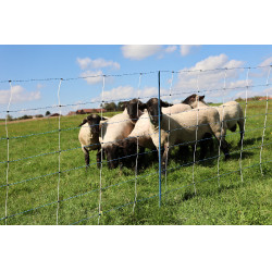 TitanNet Premium Vario AKO Weiß / Blau Weiß TitanNet Premium Vario AKO Weiß / Blau Weiß