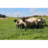 TitanNet Premium Vario AKO Weiß / Blau Weiß