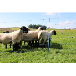 TitanNet Premium Vario AKO Weiß / Blau Weiß TitanNet Premium Vario AKO Weiß / Blau Weiß