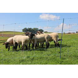 TitanNet Premium Vario AKO Weiß / Blau Weiß TitanNet Premium Vario AKO Weiß / Blau Weiß