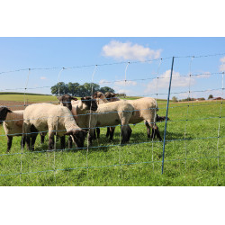 TitanNet Premium Vario AKO Weiß / Blau Weiß TitanNet Premium Vario AKO Weiß / Blau Weiß