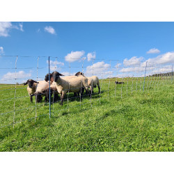 TitanNet Premium Vario AKO Weiß / Blau Weiß TitanNet Premium Vario AKO Weiß / Blau Weiß