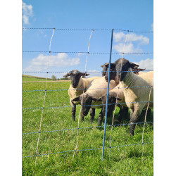 TitanNet Premium Vario AKO Weiß / Blau Weiß TitanNet Premium Vario AKO Weiß / Blau Weiß