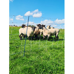 TitanNet Premium Vario AKO Weiß / Blau Weiß TitanNet Premium Vario AKO Weiß / Blau Weiß