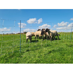 TitanNet Premium Vario AKO Weiß / Blau Weiß TitanNet Premium Vario AKO Weiß / Blau Weiß