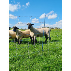 TitanNet Premium Vario AKO Weiß / Blau Weiß TitanNet Premium Vario AKO Weiß / Blau Weiß