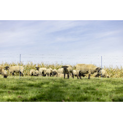 TitanNet Premium XBraid AKO Weiß / Blau Weiß TitanNet Premium XBraid AKO Weiß / Blau Weiß