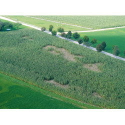 WildNet AKO Weiß / Blau Weiß WildNet AKO Weiß / Blau Weiß