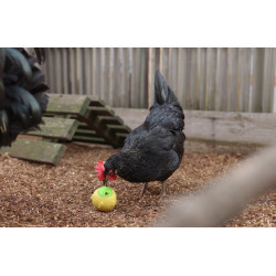 Kerbl Hobbyfarming Snackball Gelb Kerbl Hobbyfarming Snackball Gelb