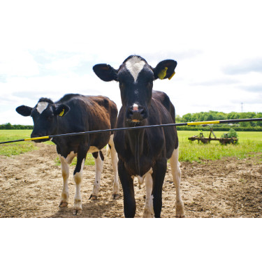 Ersatzstange Electro Gate AKO Schwarz