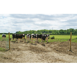 Ersatzstange Electro Gate AKO Schwarz