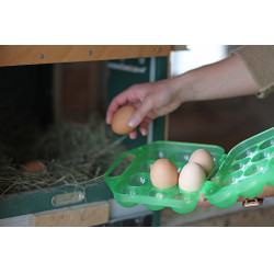 Kerbl Hobbyfarming Eitransportbox Transparentgrün