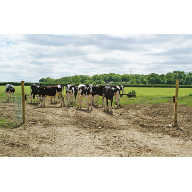 Ersatzscharnier Electro Gate Kerbl Schwarz / Gelb