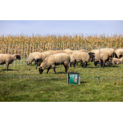 Duo Power Xi 8000 AKO Grün Grün Duo Power Xi 8000 AKO Grün Grün