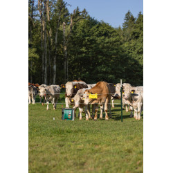 Duo Power Xi 8000 Smart AKO Grün Gr&uuml;n