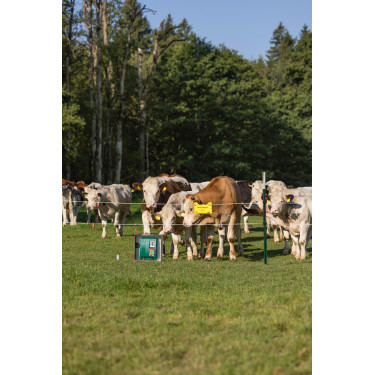 Duo Power Xi 8000 Smart AKO Grün Gr&uuml;n