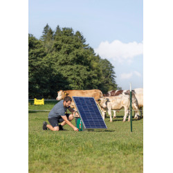 Duo Power Xi 8000 Smart AKO Grün Gr&uuml;n