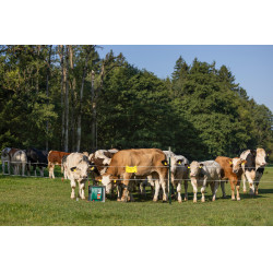 Duo Power Xi 8000 Smart AKO Grün Gr&uuml;n