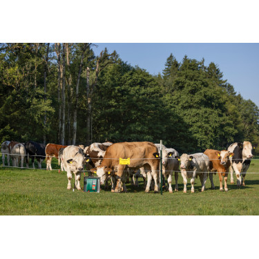 Duo Power Xi 8000 Smart AKO Grün Gr&uuml;n