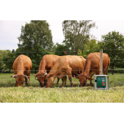 Weidezaunlitze PlatinumLine AKO Weiß / Blau Weiß