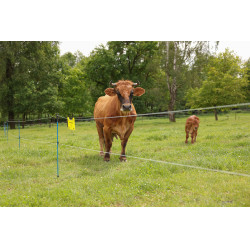 Weidezaunlitze PlatinumLine AKO Weiß / Blau Weiß