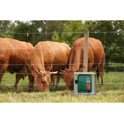 Weidezaunlitze PlatinumLine AKO Weiß / Blau Weiß