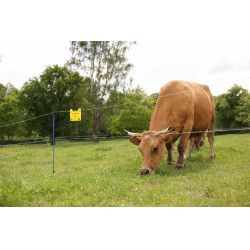 Weidezaunlitze PlatinumLine AKO Weiß / Blau Weiß