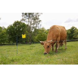 Weidezaunlitze PlatinumLine AKO Weiß / Blau Weiß