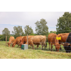 Weidezaunlitze PlatinumLine AKO Weiß / Blau Weiß