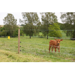 Weidezaunlitze PlatinumLine AKO Weiß / Blau Weiß