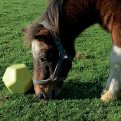 Spielzeug Drop Feeder La Gee Spielzeug Drop Feeder La Gee