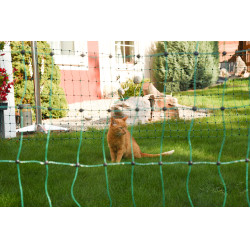 AKO Katzennetz Grün Gr&uuml;n