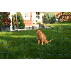 AKO Katzennetz Grün Gr&uuml;n