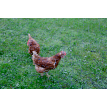 AKO Geflügelschutznetz Schwarz AKO Geflügelschutznetz Schwarz