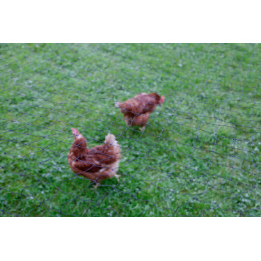 AKO Geflügelschutznetz Schwarz AKO Geflügelschutznetz Schwarz