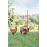 Geflügelnetz AKO Orange