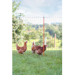 Geflügelnetz AKO Orange Geflügelnetz AKO Orange
