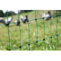 Geflügelnetz AKO Grün Grün Geflügelnetz AKO Grün Grün