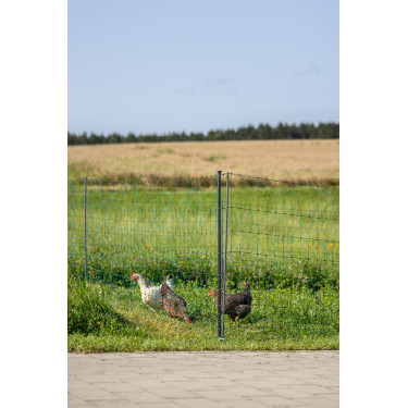 Premium-Geflügelnetz AKO Grün Grün Premium-Geflügelnetz AKO Grün Grün