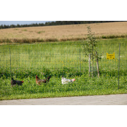 Premium-Geflügelnetz AKO Grün Grün Premium-Geflügelnetz AKO Grün Grün