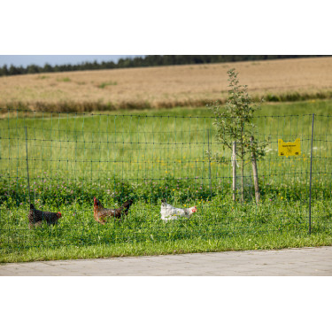 Premium-Geflügelnetz AKO Grün Grün Premium-Geflügelnetz AKO Grün Grün